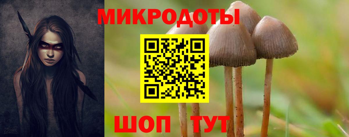 Псилоцибиновые грибы Psilocybine cubensis  Вход с VPN  Альметьевск 